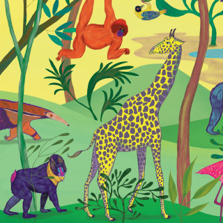 babouin, girafe, oranoutan, jungle, sauvage