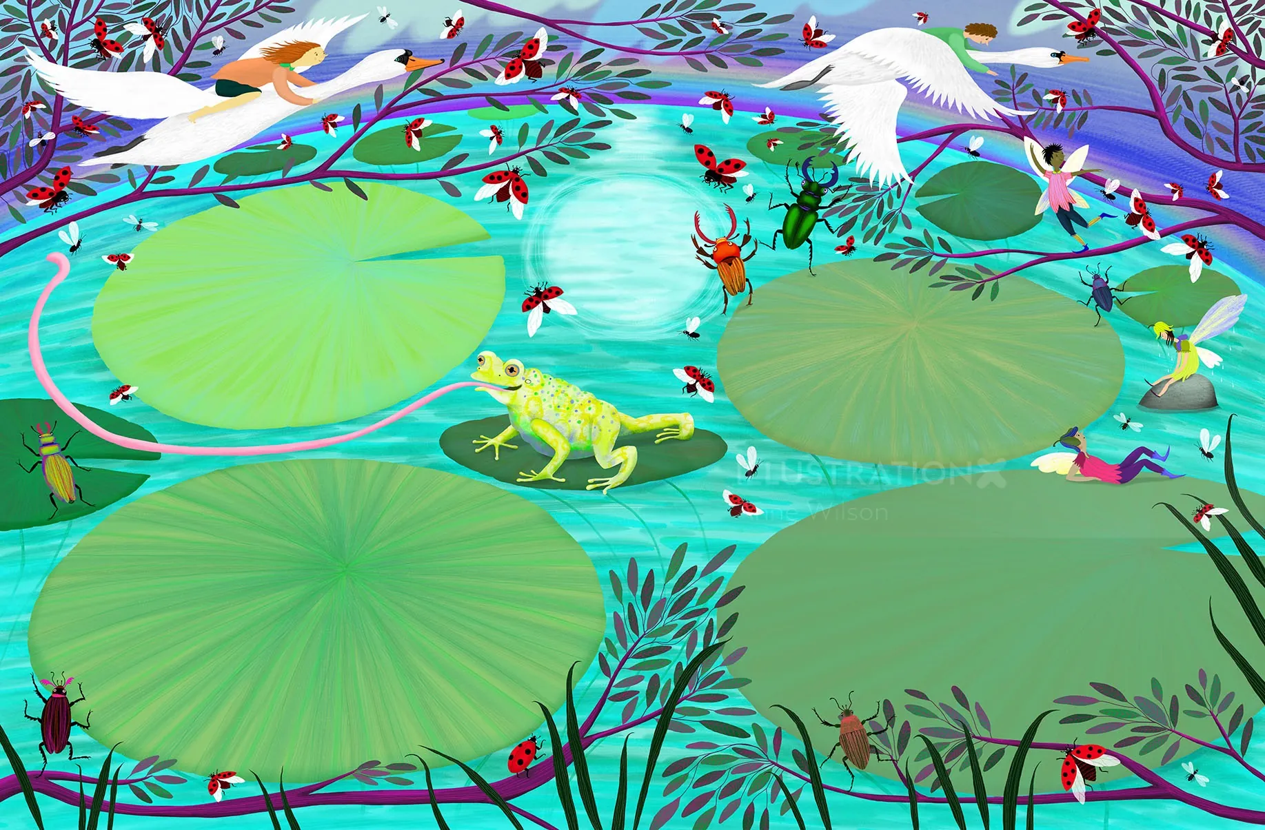 frog, insects, Lilly pads, beetles, ladybirds, moon, night time