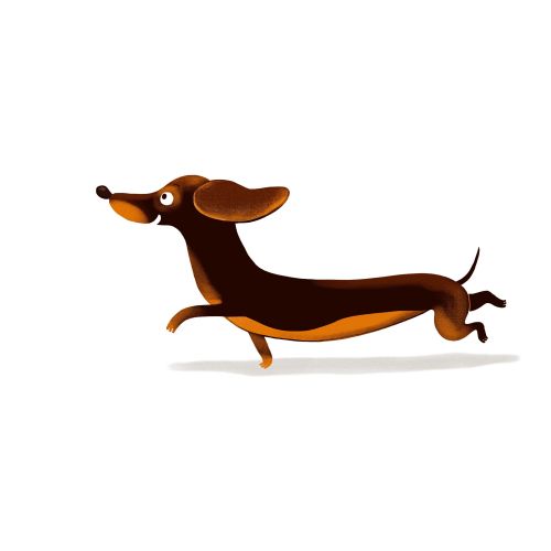 Illustration of a running brown dachshund dog character