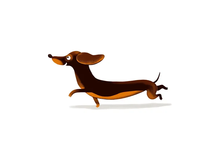 Illustration of a running brown dachshund dog character
