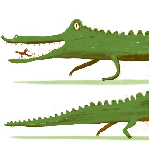 Green crocodile with a small bird standing on its snout