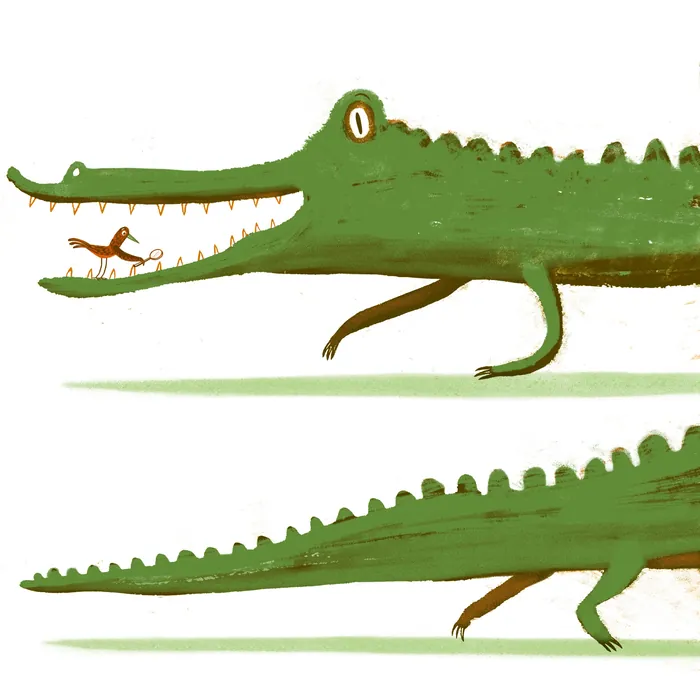 Green crocodile with a small bird standing on its snout