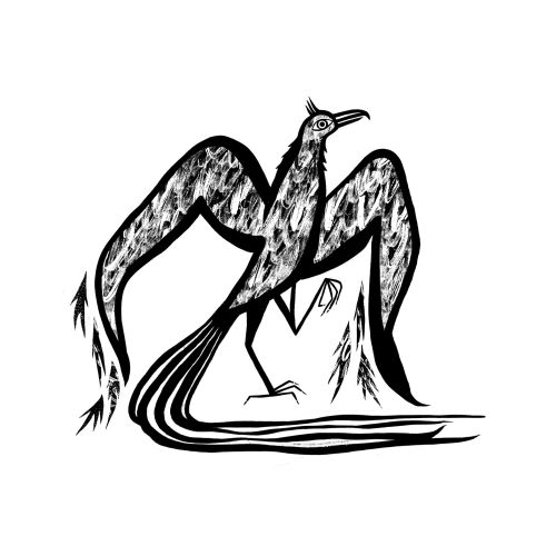 Stylized bird with flowing tail ink drawing by Anne Wilson