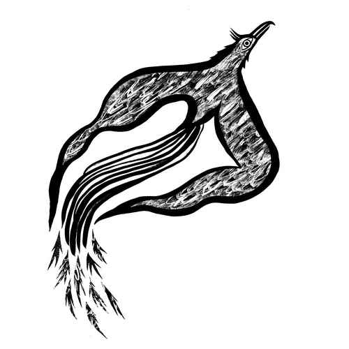 Stylized bird with flowing tail ink drawing by Anne Wilson