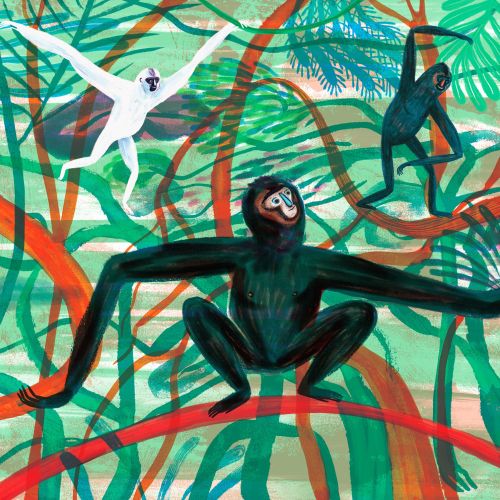 Anne Wilson Nature Illustrator from UK