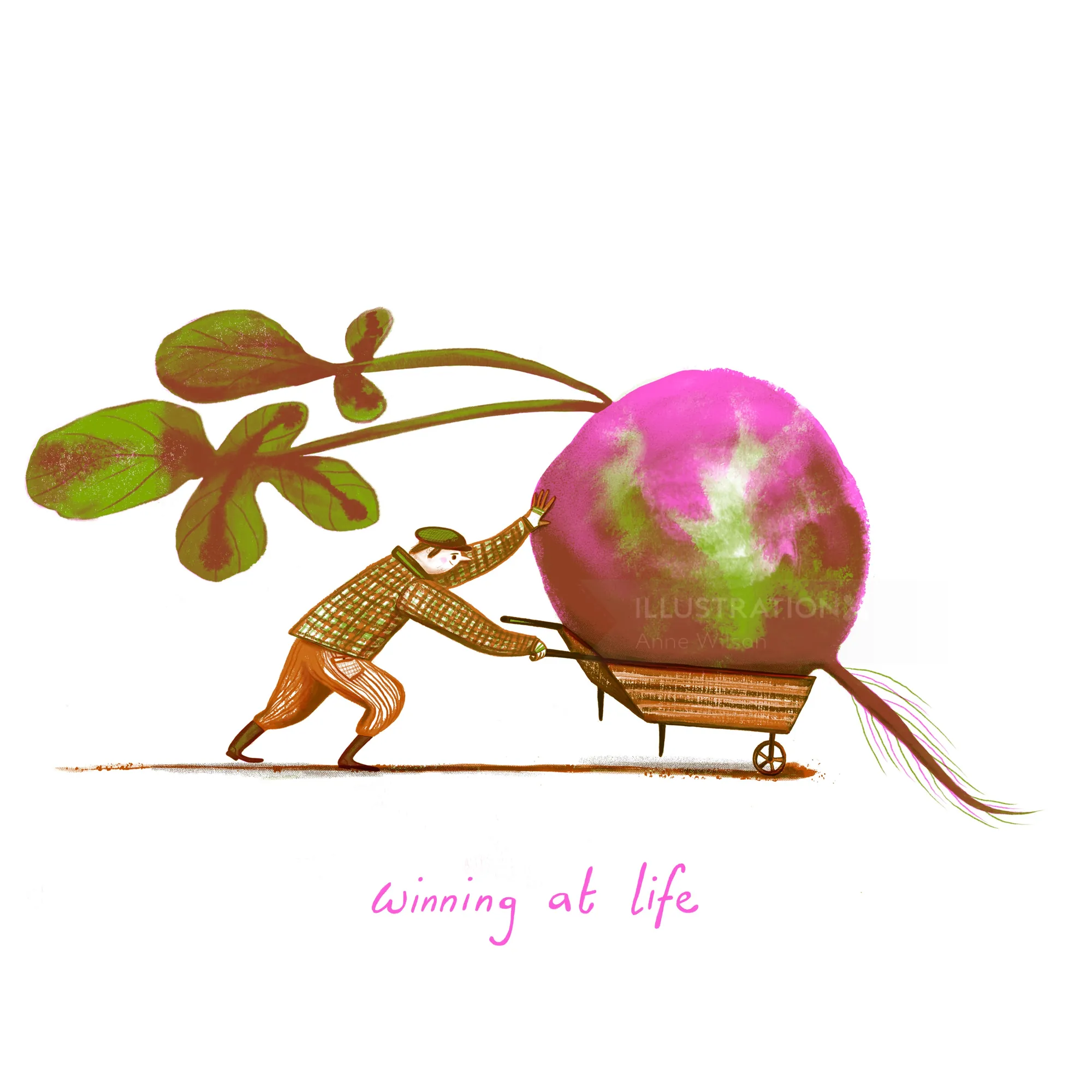 Illustration of person pushing large radish on cart by Anne Wilson