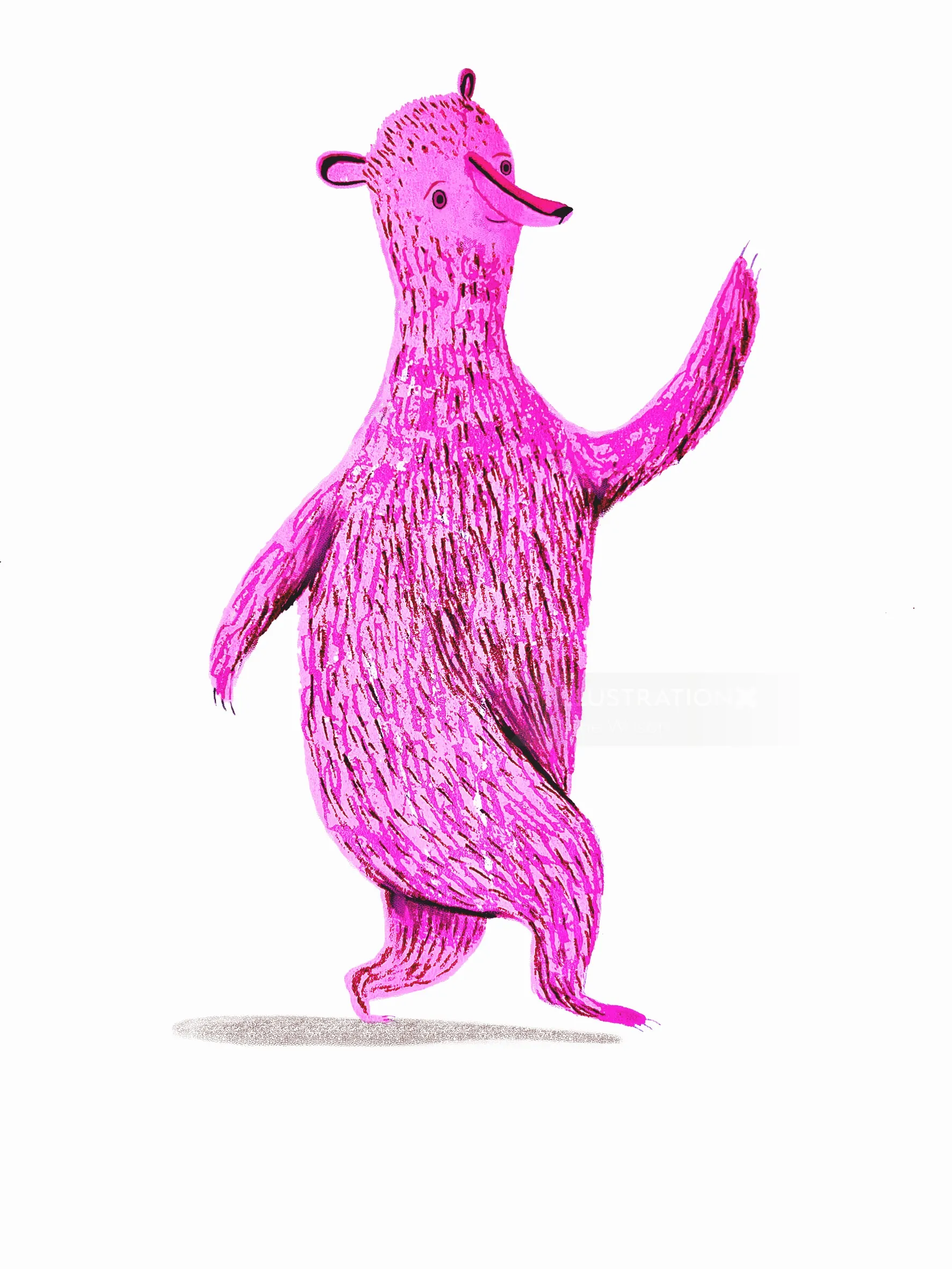 Pink walking bear illustration by Anne Wilson