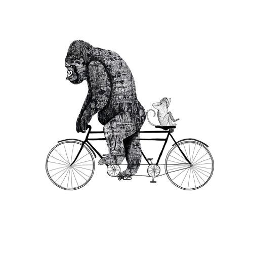 Gorilla on bicycle illustration by Anne Wilson
