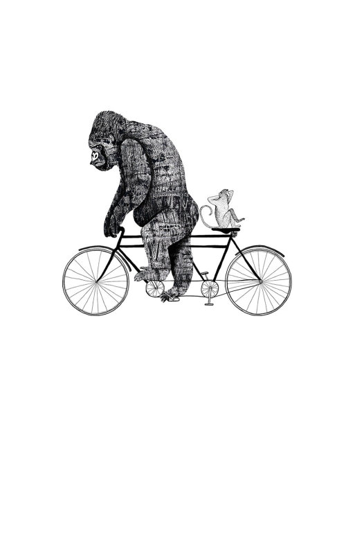 大猩猩在自行车插图上的安妮·威尔逊