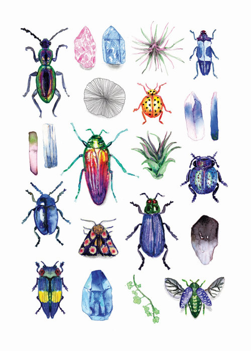 Illustration d&#39;encre de coléoptères et pierres précieuses