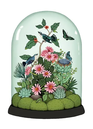 Botanical Dome illustration