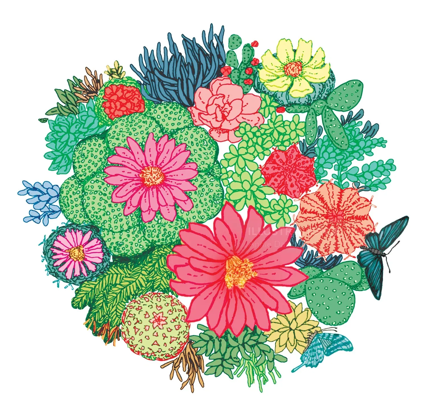 Colorful cactus plants with blooming flowers by Annie Davidson