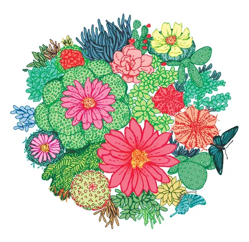 Cactos coloridos com flores desabrochando por Annie Davidson