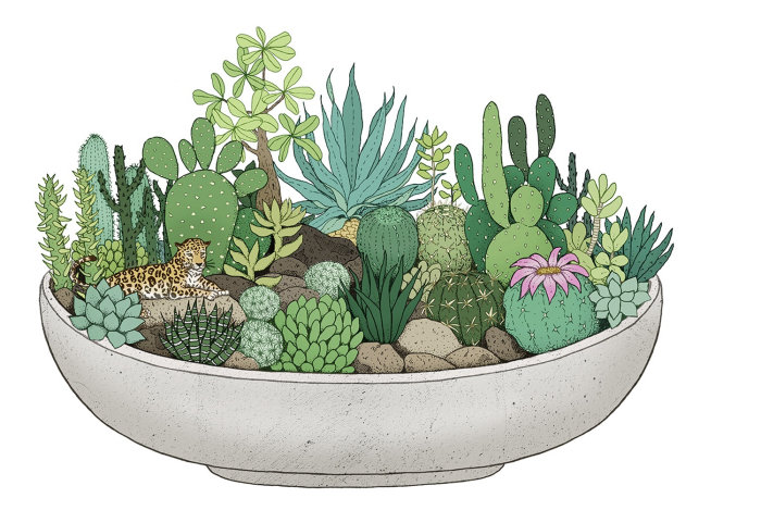 Cactus plants in pot artwork