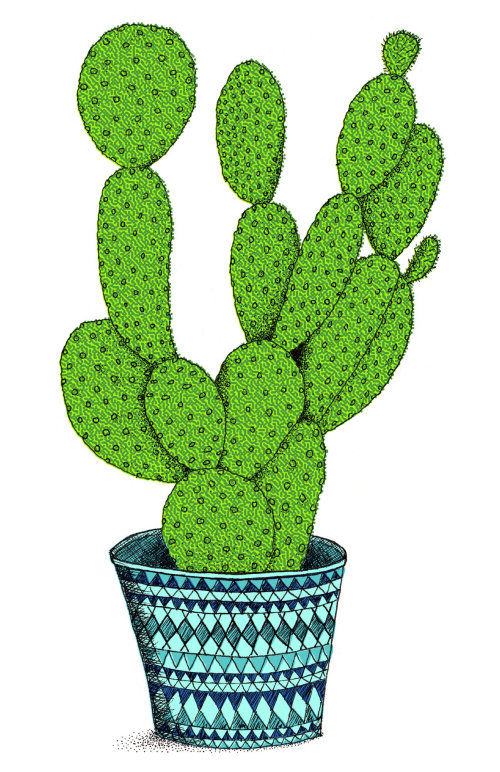 Graphical art of cactus plant 