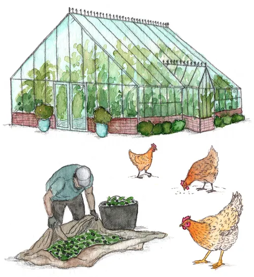 Watercolor drawing of Animals farm 