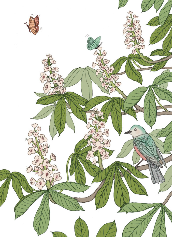Plats nature avec oiseaux et papillons