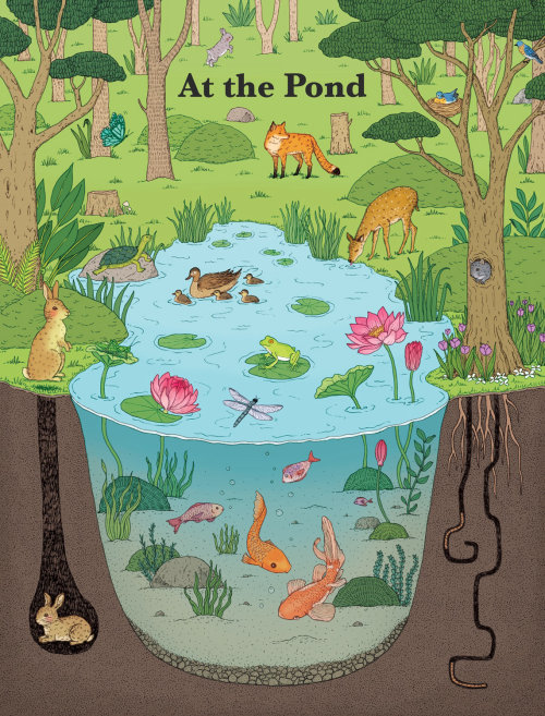 Affiche d&#39;animaux pour livre scolaire