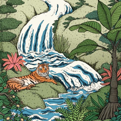 Animals tiger at a waterfall
