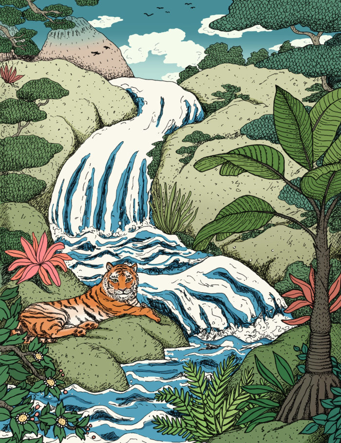 动物老虎在瀑布