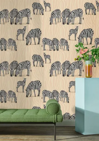 Zebra pattern wall paper for Jimmy Cricket