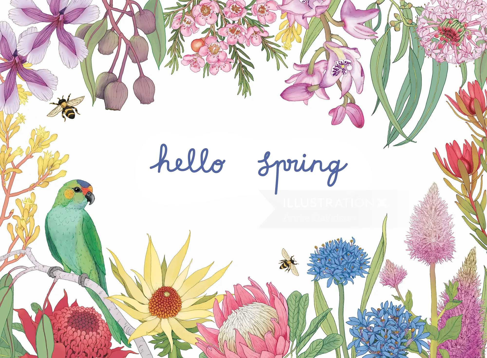 Spring flowers and birds around 'hello spring' text by Annie Davidson