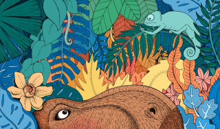 Jungle illustration for Mediabank