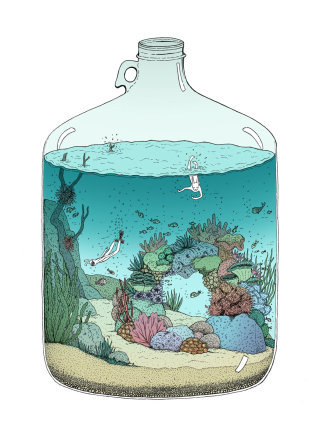 Illustration de plongée en haute mer par Annie Davidson 