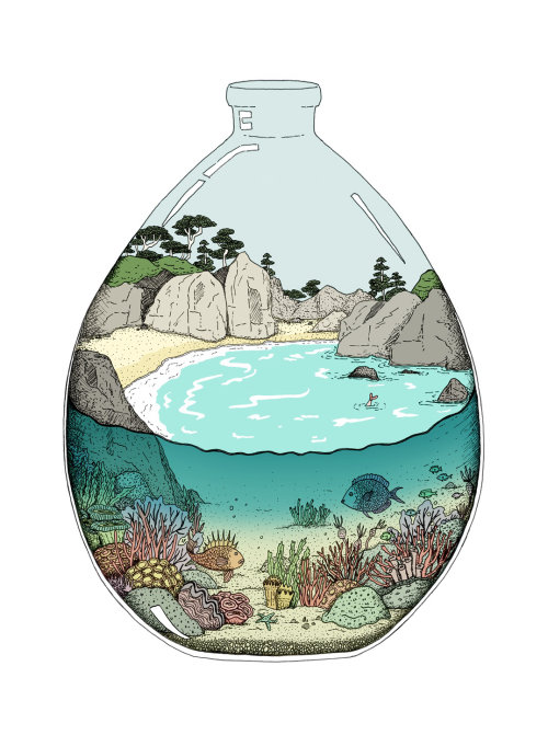 illustration, bay beach, under water, coral reef, fish, seaweed, sand