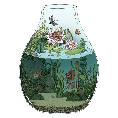 Graphical design of Waterlilies terrarium