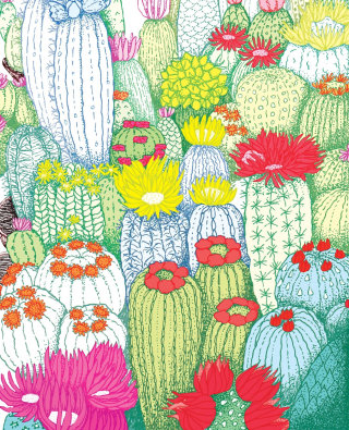 Cactus decorativo con flores.
