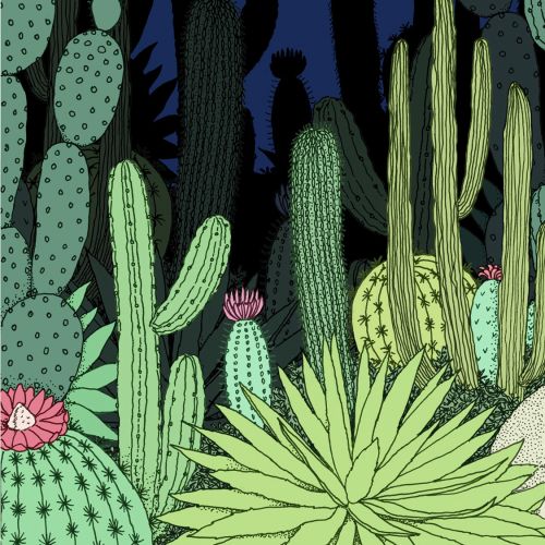 Graphical design of cacti garden in night