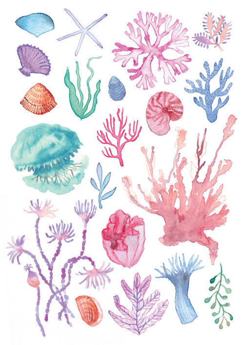 Aquarelle de la nature sous-marine
