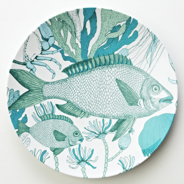 Poisson graphique, sous la mer, crabe, corail, algues, raisin de mer, méduse