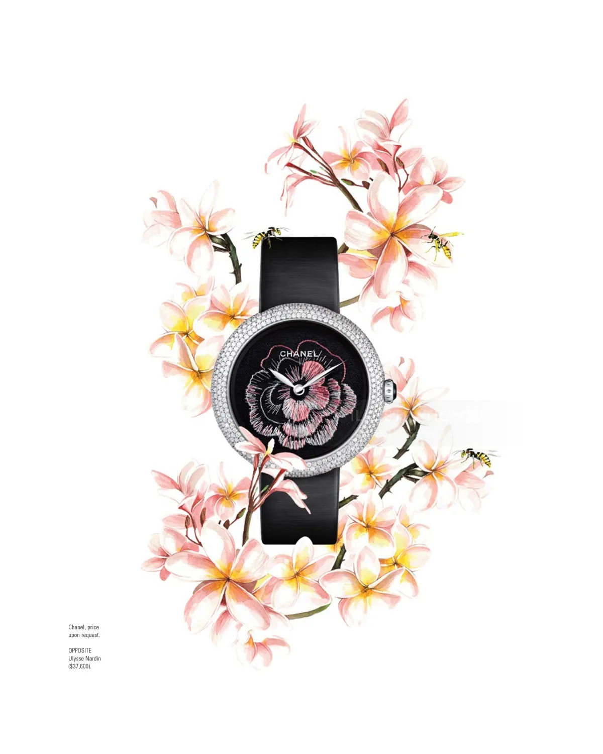 自然界最精美的水彩画
