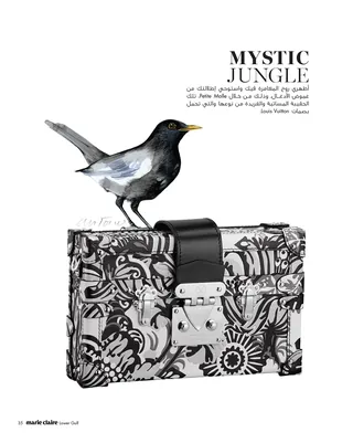 Black bird on patterned bag with artistic text by Antonio Soares