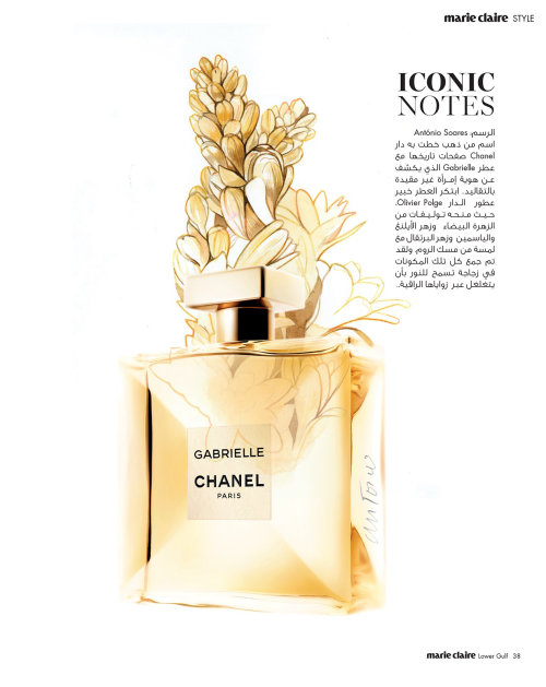 Illustration éditoriale pour le parfum Gabrielle Chanel