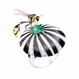Bee perched on emerald black ring illustration by Antonio Soares