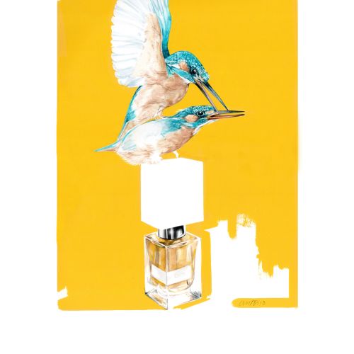 Kingfisher bird approaching a perfume bottle on yellow background by Antonio Soares