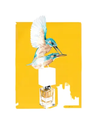 Kingfisher bird approaching a perfume bottle on yellow background by Antonio Soares
