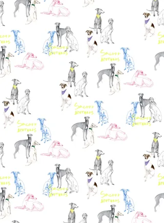 Seamless pattern with colorful greyhound dog drawings and summer text