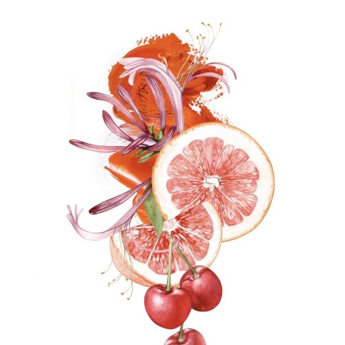 Abstract floral and fruit art with grapefruit slices, cherries, and orange flowers by Antonio Soares