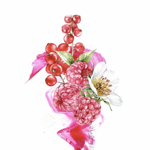 Still life of raspberries, red currants, and white flower by Antonio Soares
