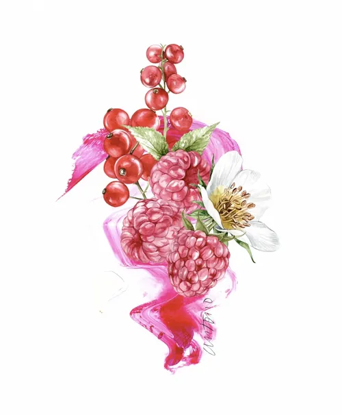 Still life of raspberries, red currants, and white flower by Antonio Soares