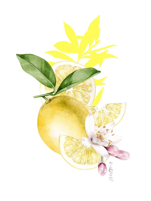 Watercolor painting of lemon fruit with blossom and leaves by Antonio Soares