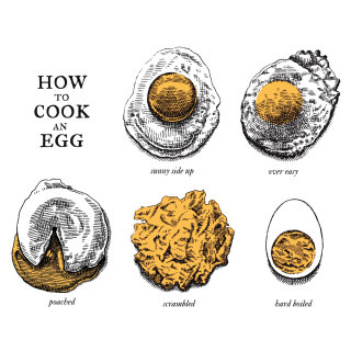 Dessin de couverture de livre expliquant comment cuire un œuf