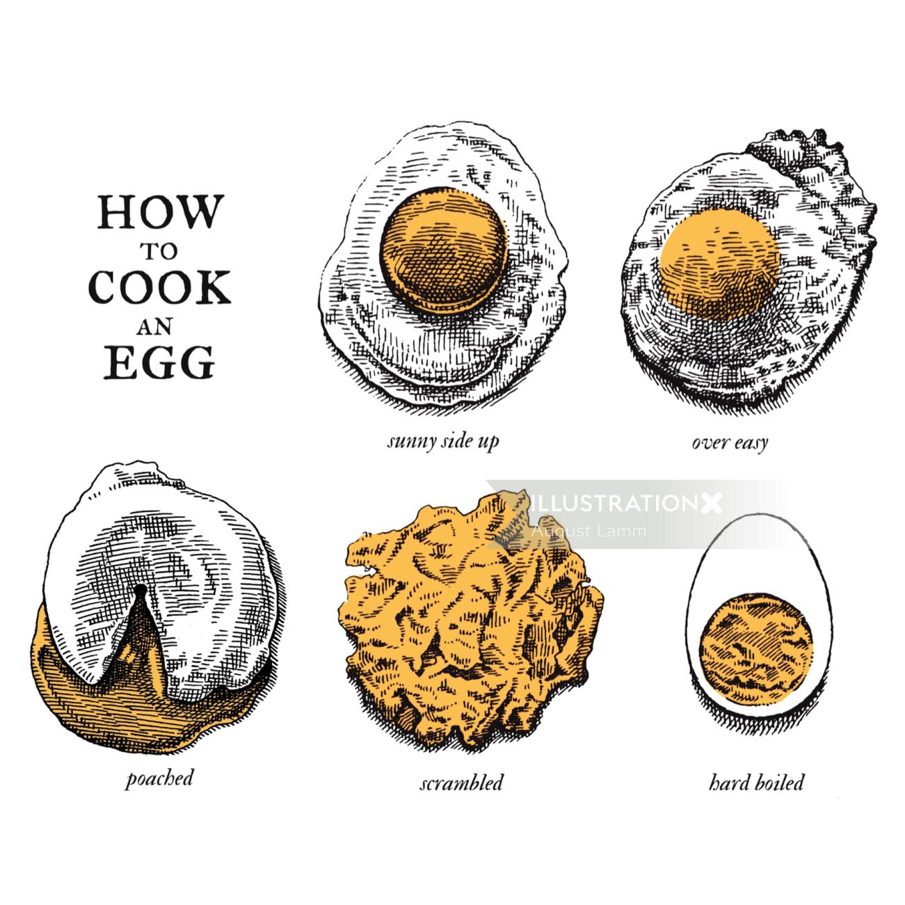 Book cover drawing for how to cook an egg