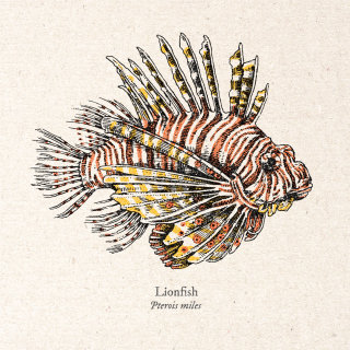 Arte realista de peixe-leão de August Lamm