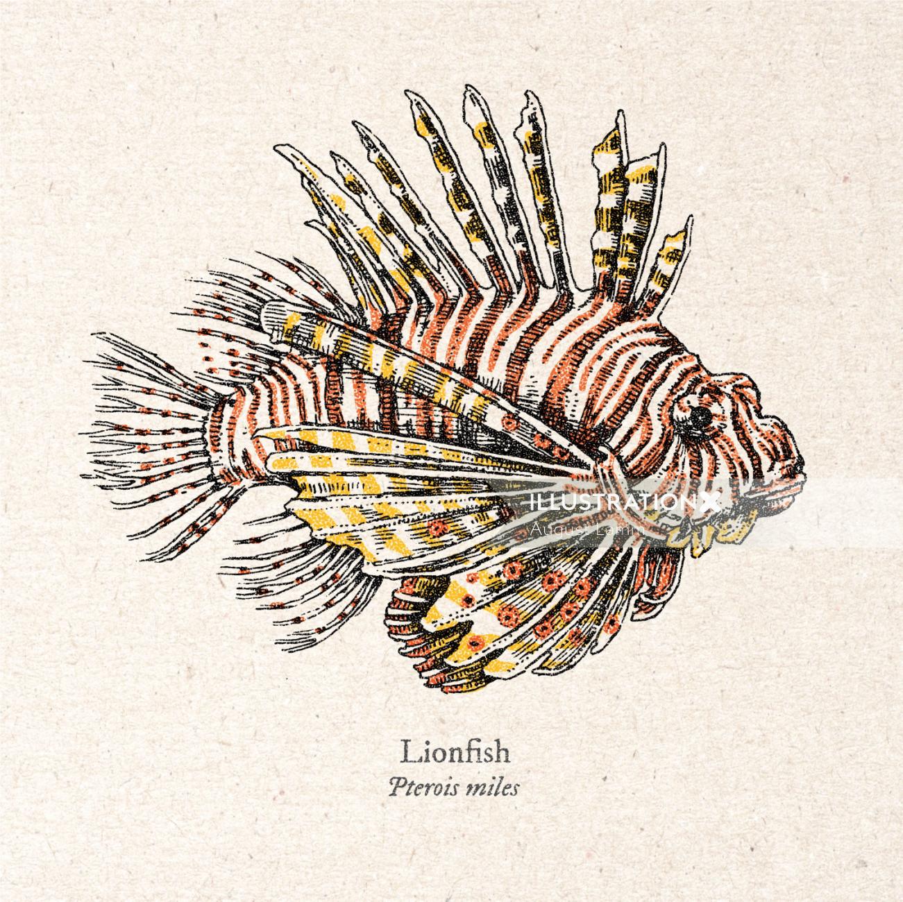 Lion fish Realistic artwork by August Lamm