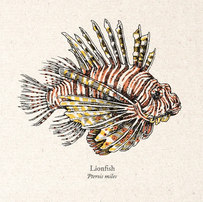 Lion fish Realistic artwork by August Lamm